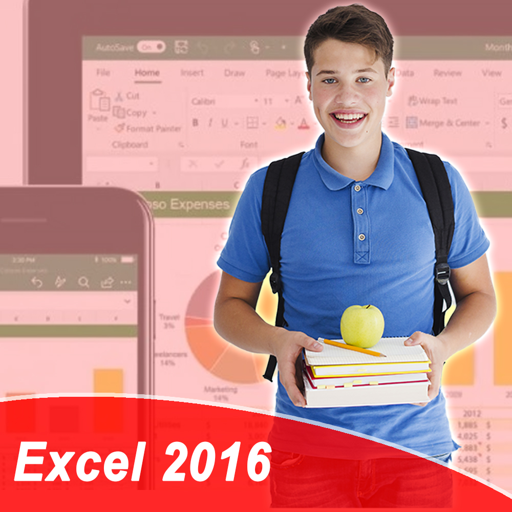EXCEL 2016 sem logo